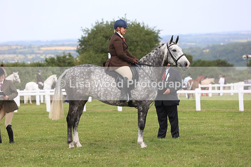 JPP_3799 - Class 23: Working Hunter 80cm