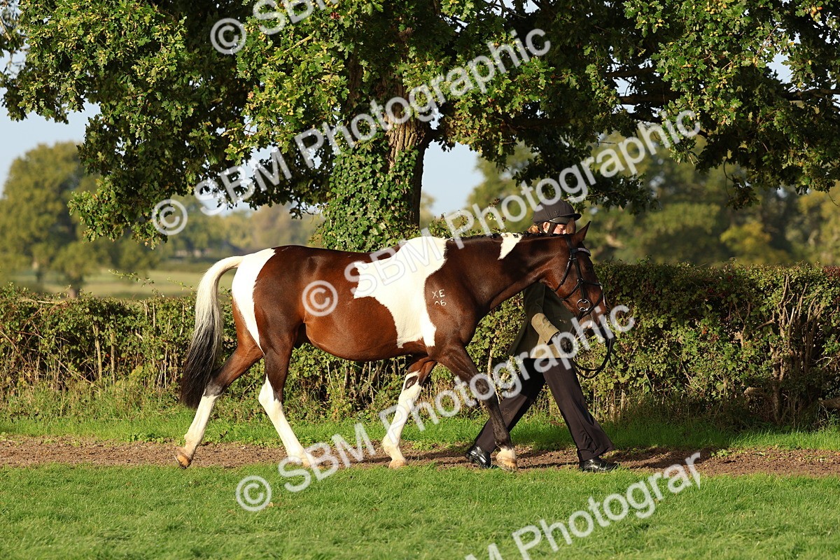 SBM_54755 - S39 - Starters In Hand Showing
