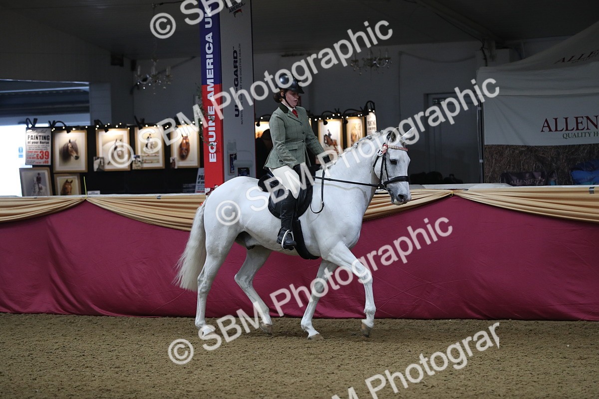 SBM_10327 - Class 102 Equitation (best rider) Adult