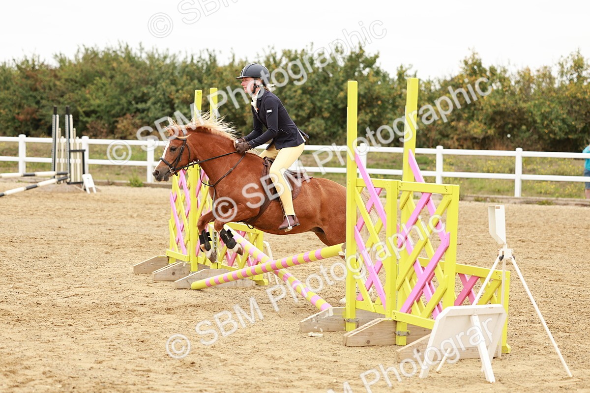 SBM_007462 - Class 2 - 50cm