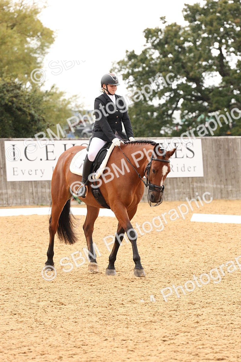 SBM_44088 - D6 - Small Tour Championship Intro 4