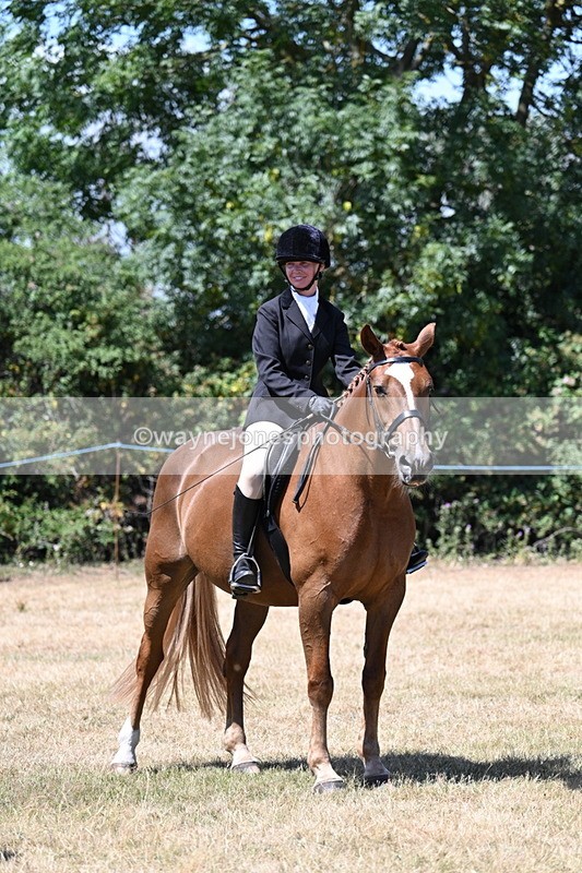 WJ7_3172 - Class 7 Riding Club Show Horse