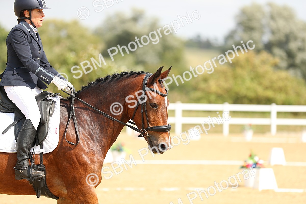 SBM_016473 - Class 13 - Novice 23 - 11.25-12.35