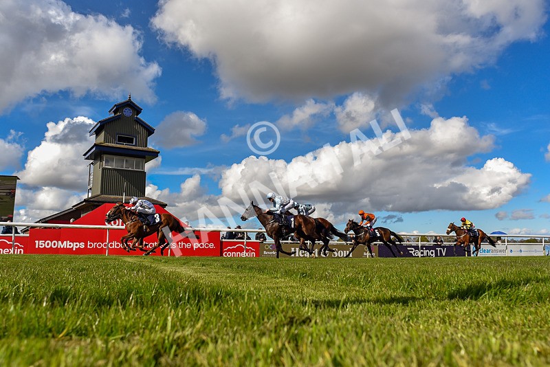 250424-Race 4-Classy Boy-3905 - Race 4