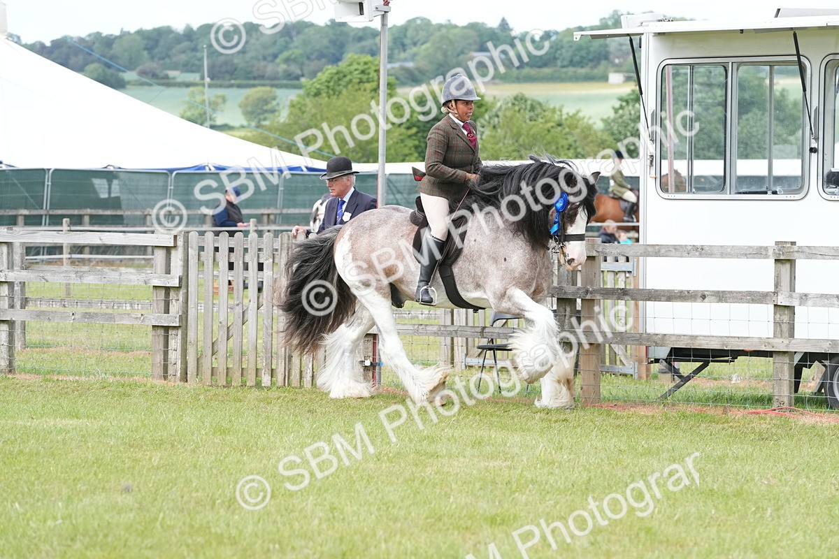 SBM_17660 - Class 107-108 - LIHS BSPS Performance Coloured Horse Pony