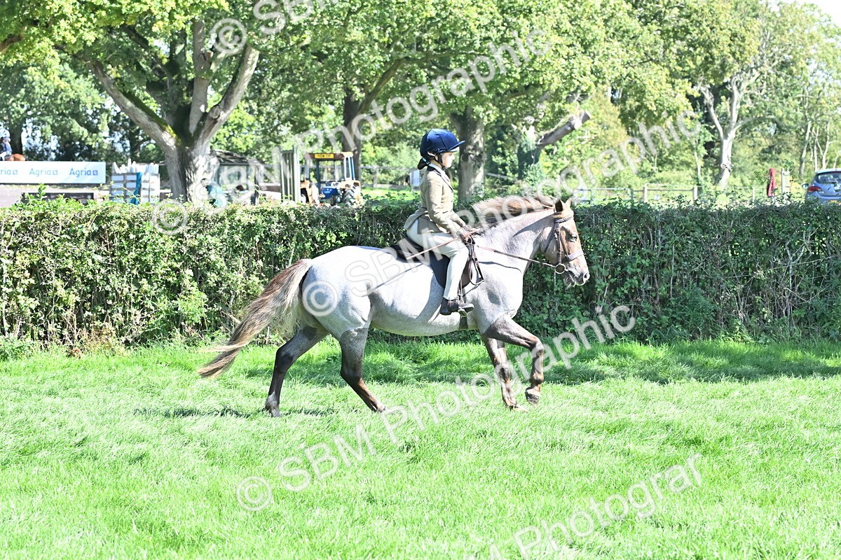 SBM_44545 - S13 - Pony Club Pony