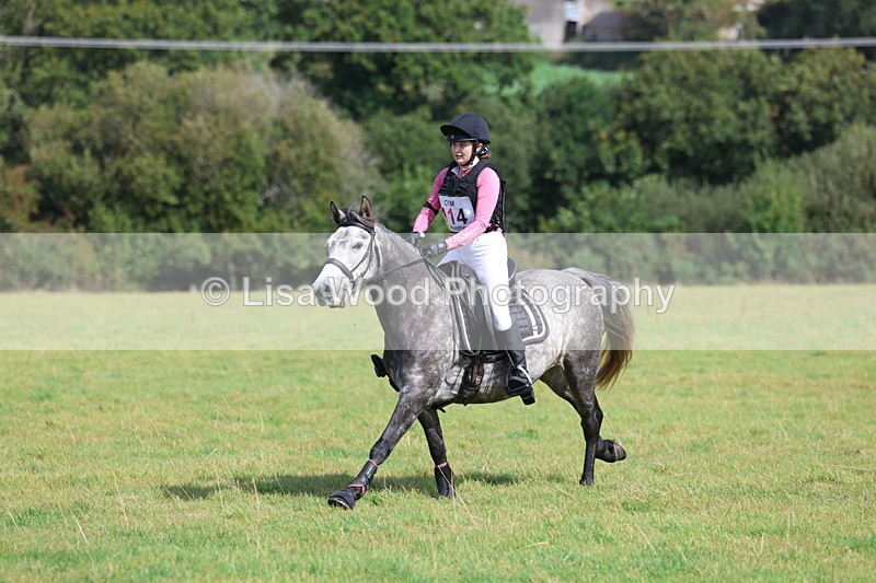 3E7A6615 - Class 1: Trebudannon Open: Pheasant Feeder