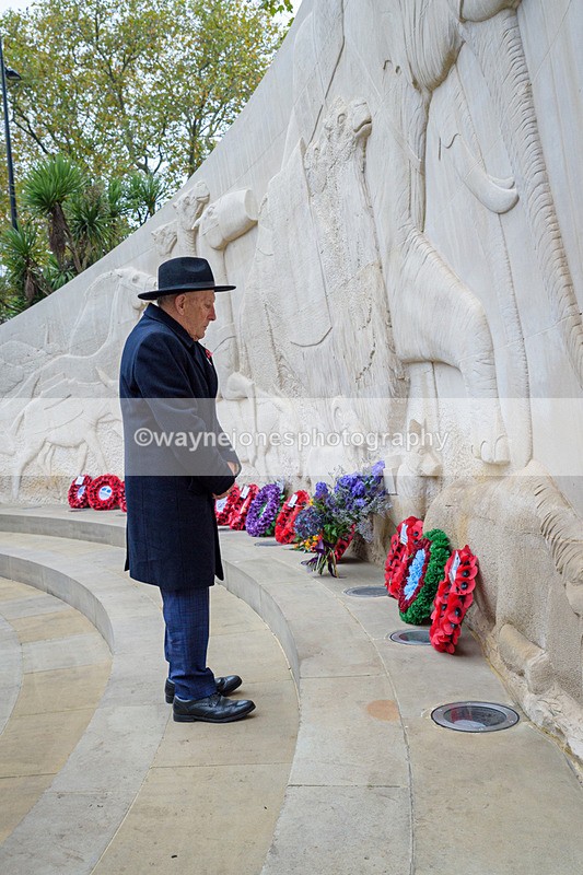 NGP_8241 - 2024 Animals in War Remembrance Gathering