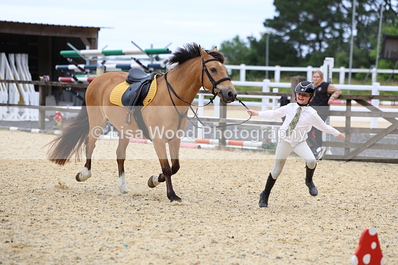 3E7A9331 - Walk trot run