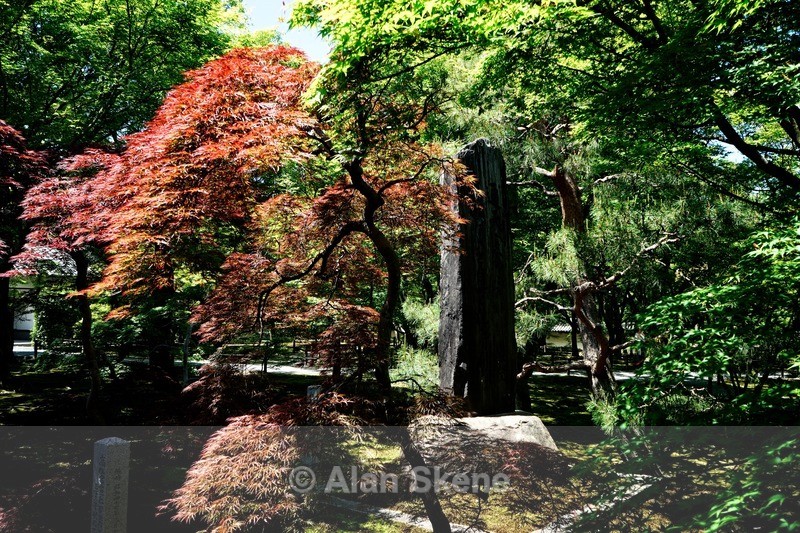 DSC05364 - Kyoto