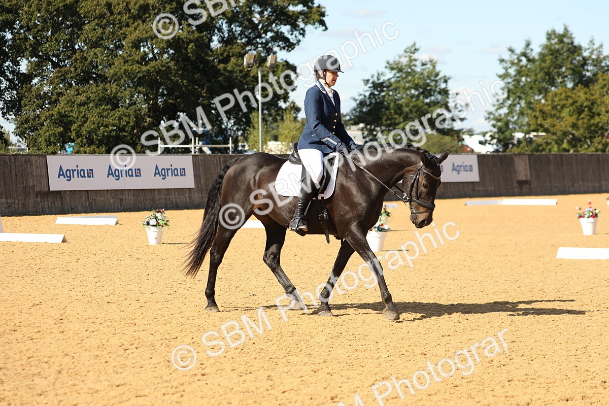 SBM_24506 - D17 - Grand Tour Championship - Novice 27