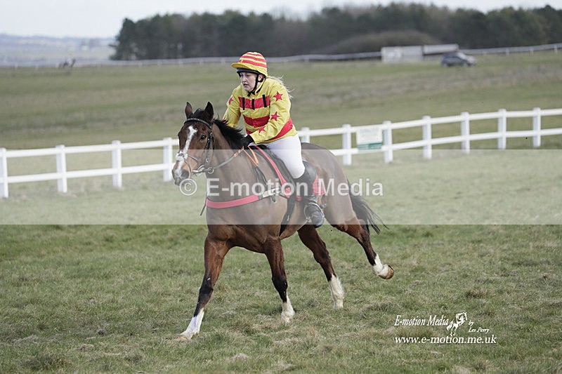 PtP 260223 113 - South & West Wilts Point-to-Point Larkhill 26/02/23