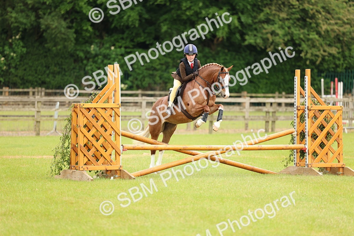 SBM_10268 - Class 44-45 - LIHS BSPS Open Nursery and Cradle Stakes