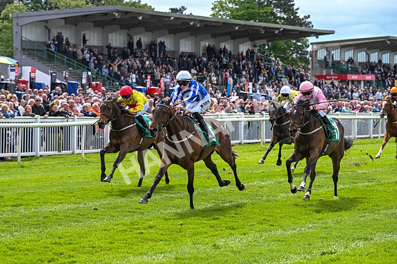 160526-Race 2-Kodi Bear Light-9309 - Race 2 2.23pm Marion Gibson Brown Memorial - Irish EBF Restricted Maiden Fillies' Stakes (Div II)