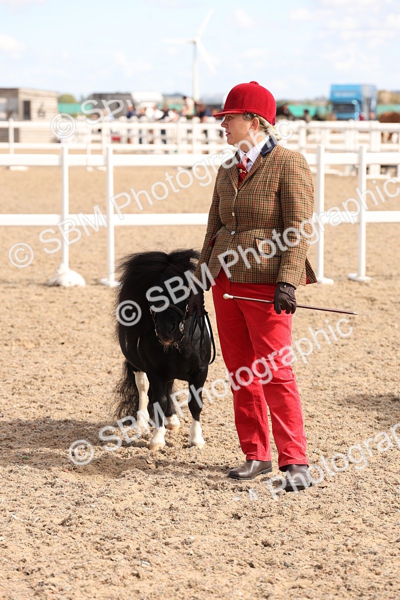 SBM_14131 - Class 207 - IH M&M