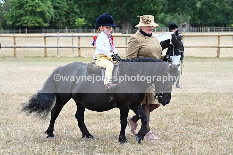 WJ7_8465 - Class 4 Prettiest Mare up to 14.2hh