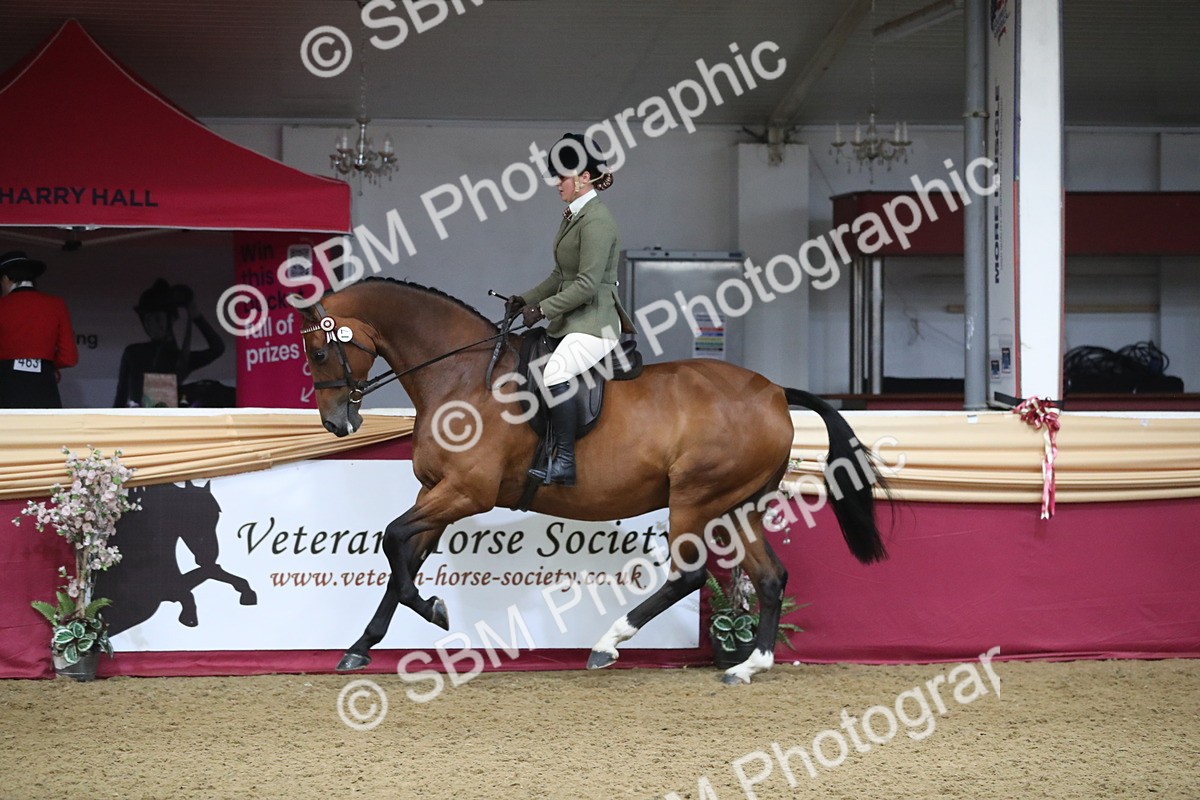 SBM_10433 - Class 102 Equitation (best rider) Adult