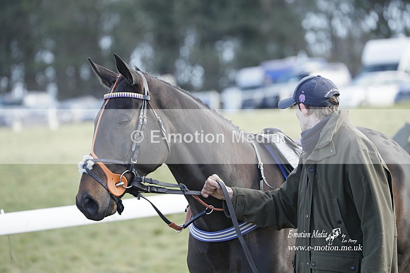 PtP 260223 994 - South & West Wilts Point-to-Point Larkhill 26/02/23