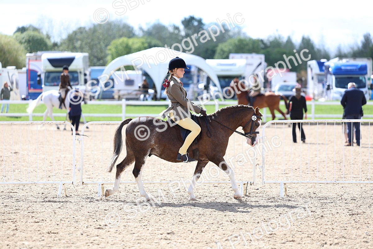 SBM_13248 - Class 311 - Ridden Show Pony Show Hunter Pony