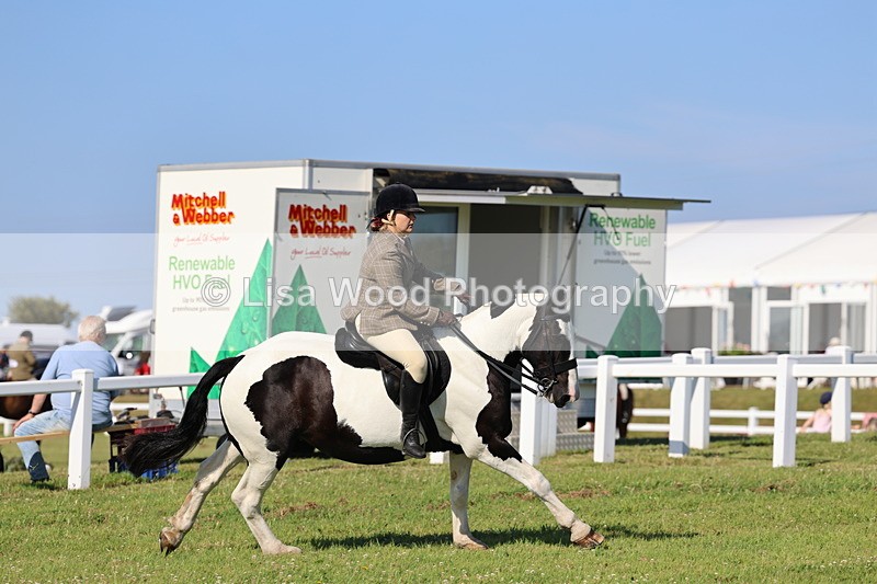 IMG_1554 - Class 30: Ridden Native/Trad Coloured Pony