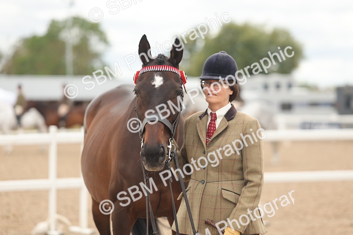 SBM_17092 - Class 313 - IH Retired Racehorse