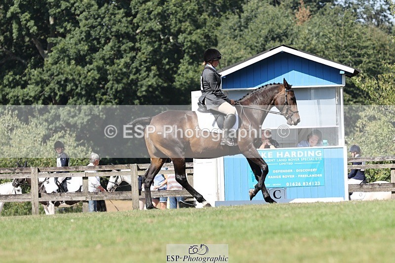 250823A-111225-27896 - Arena D