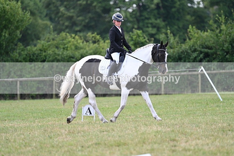 WJ7_5230 - Time 11:22 to 11:51