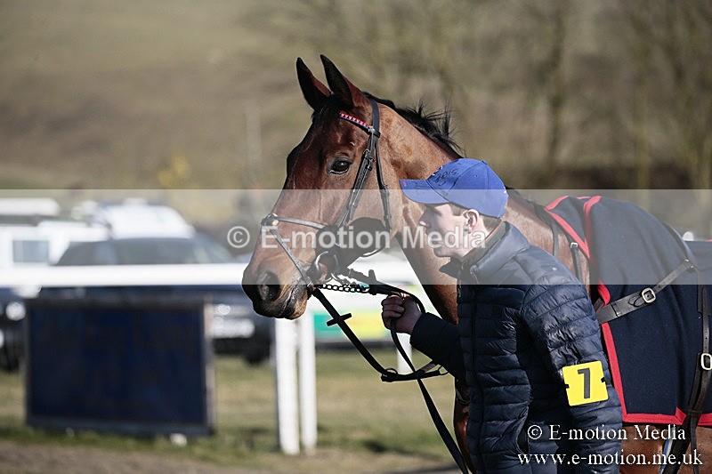 PtP 240218 560 - Vine & Craven Hunt Point-to-Point Barbury racecourse 24/02/18