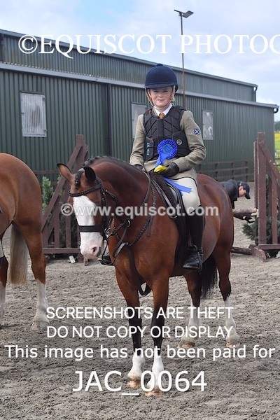 JAC_0064 - CLASS 3 Intermediate Working Hunter (0.70m - 0.85m)