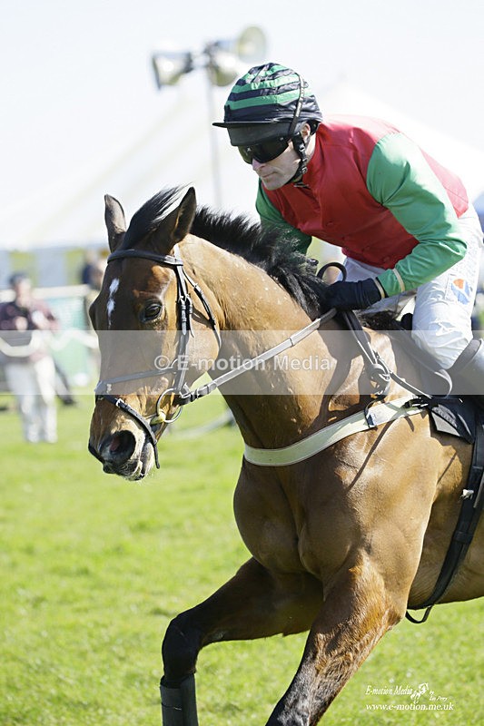 PtP 190322 379 - Wilton Hunt PtP Milborne St Andrew 19/03/22