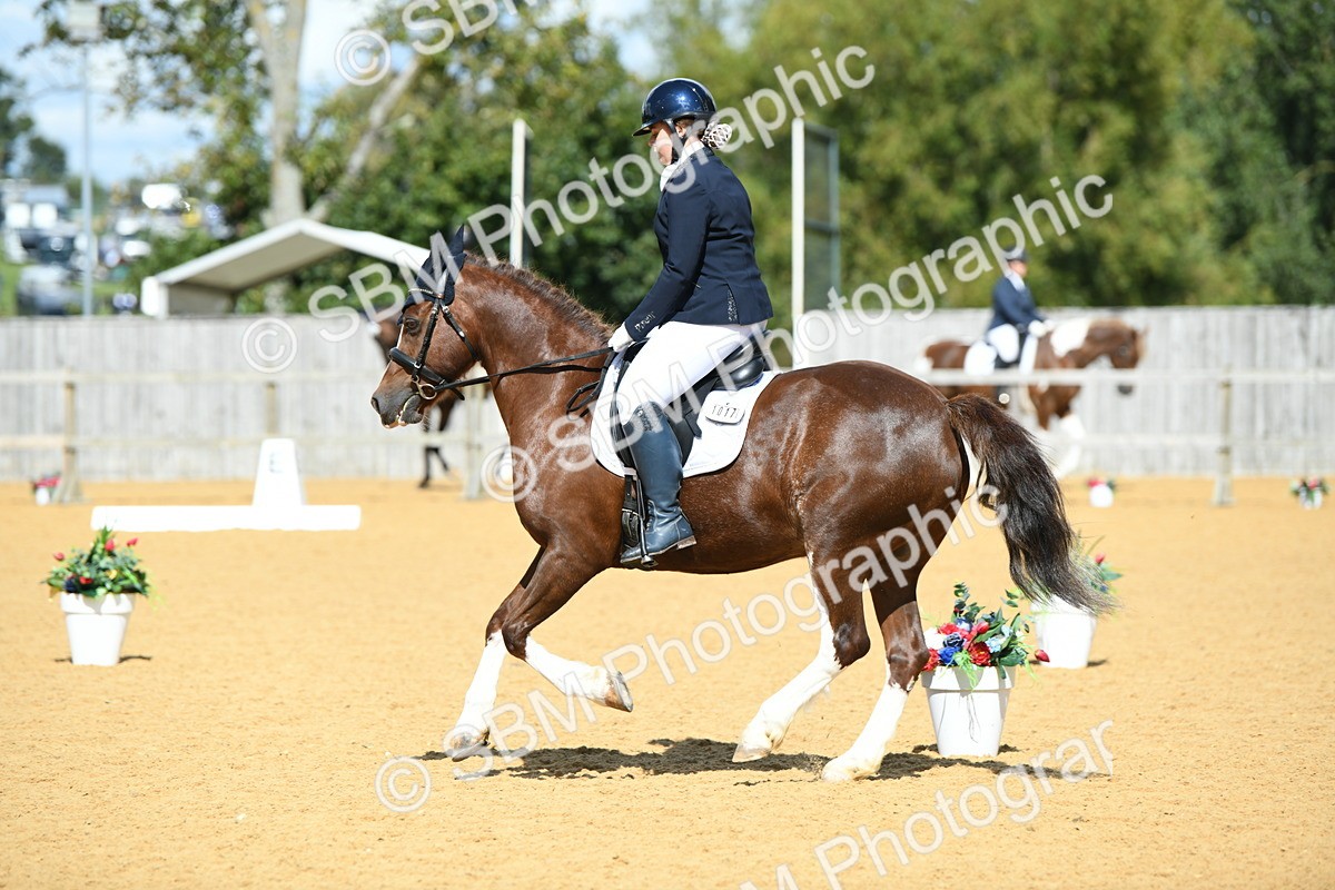SBM_06421 - D15 Small Tour Championship Novice 24