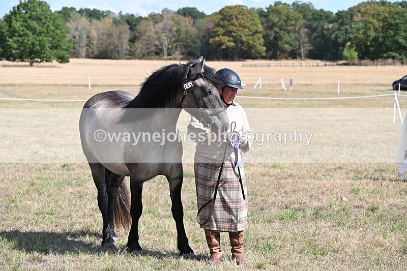 WJ6_5074 - Class 17 Mountain & Moorland