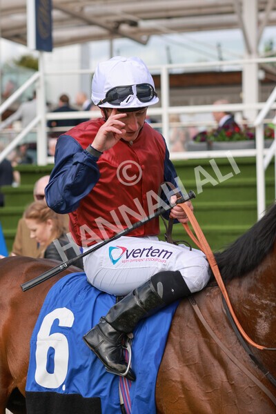 yr21052022r5-39 - Race 5: 4:07pm Phoebe Johnson Celebration EBF Restricted Novice Stakes