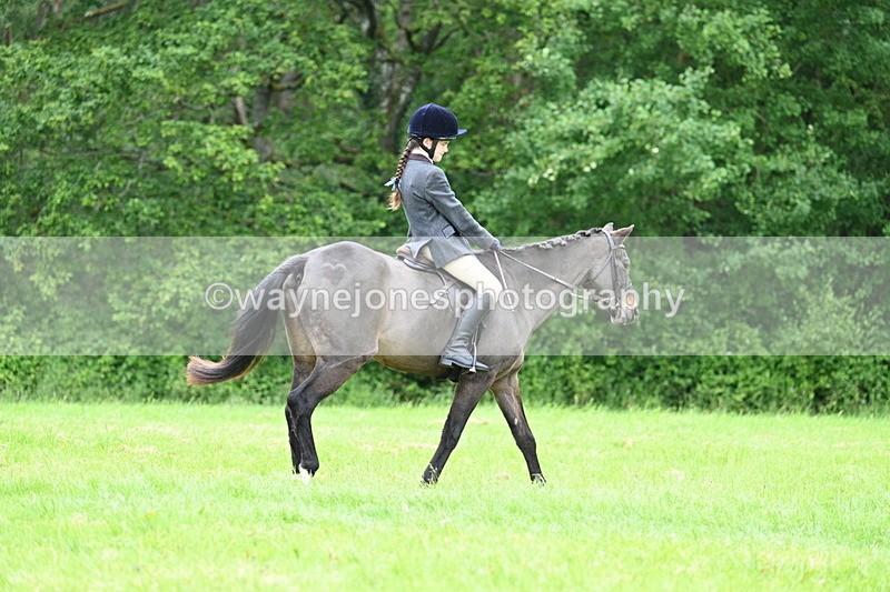 WJ7_4483 - Class 14B Prettiest Mare