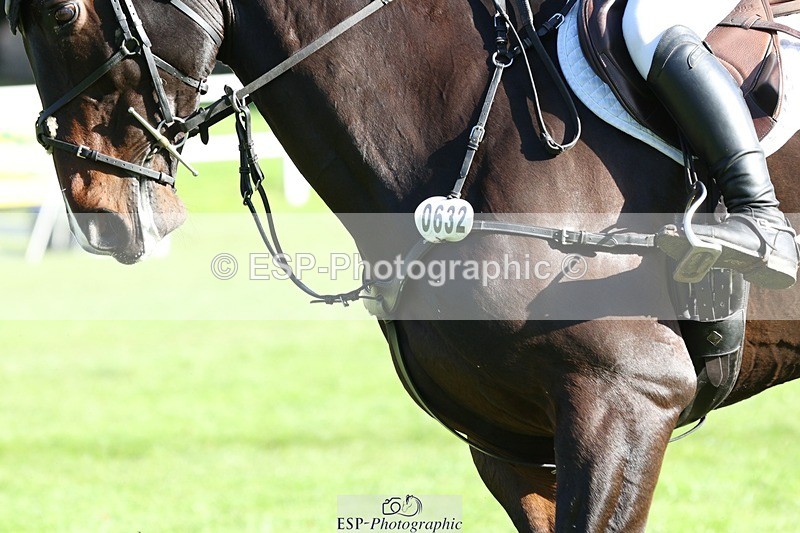 231022-111641-25072 - 632-ANGELL'S.CHOICE-Saffron.Cresswell-TrotUp+SJ