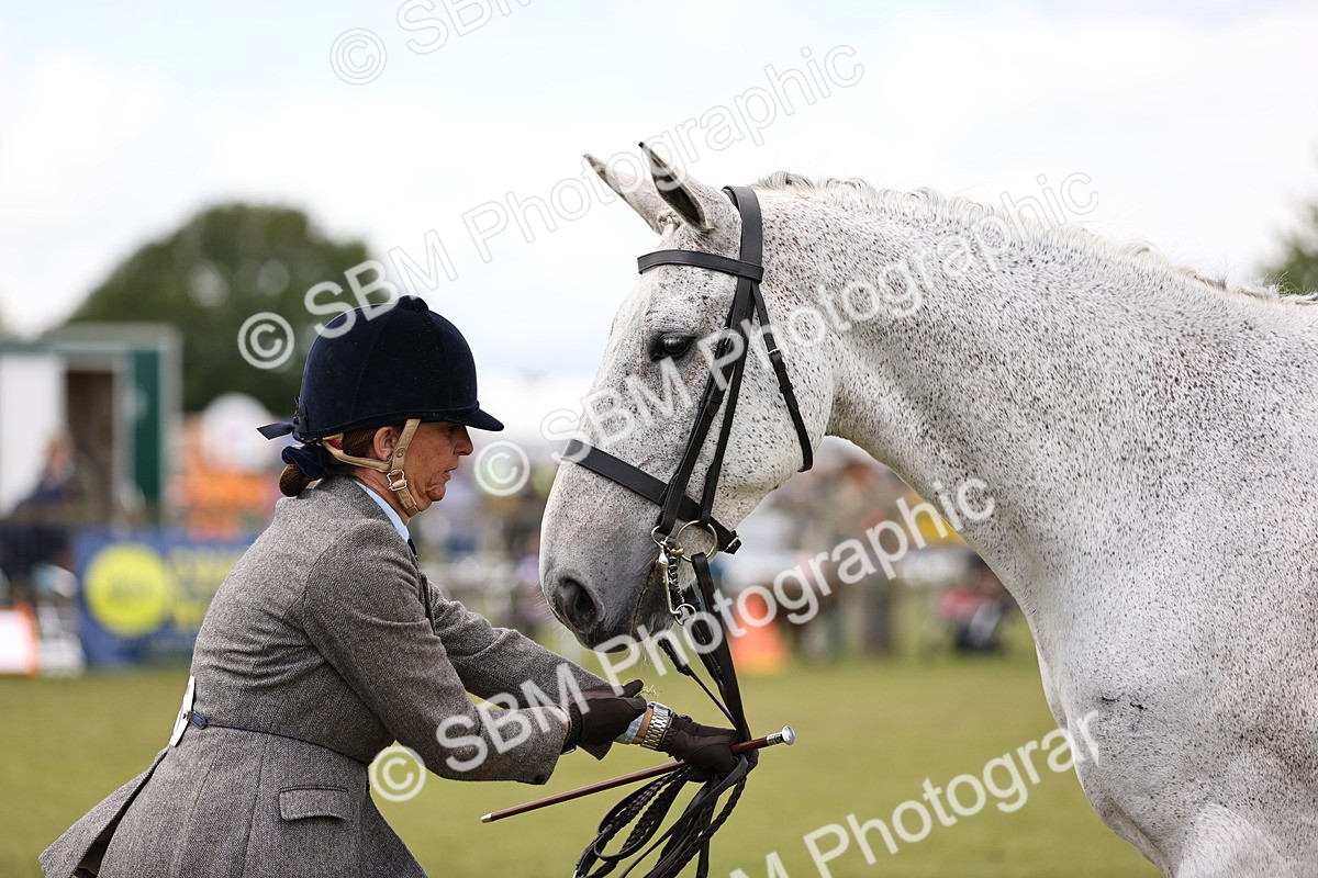 SBM_14733 - Class 88-89 - LIHS BSHA Rising Star of Ridden Hunter Type