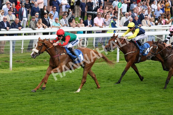 yr10062022r5-23 - Race 5 4.05pm Irish Thoroughbred Marketing Stakes