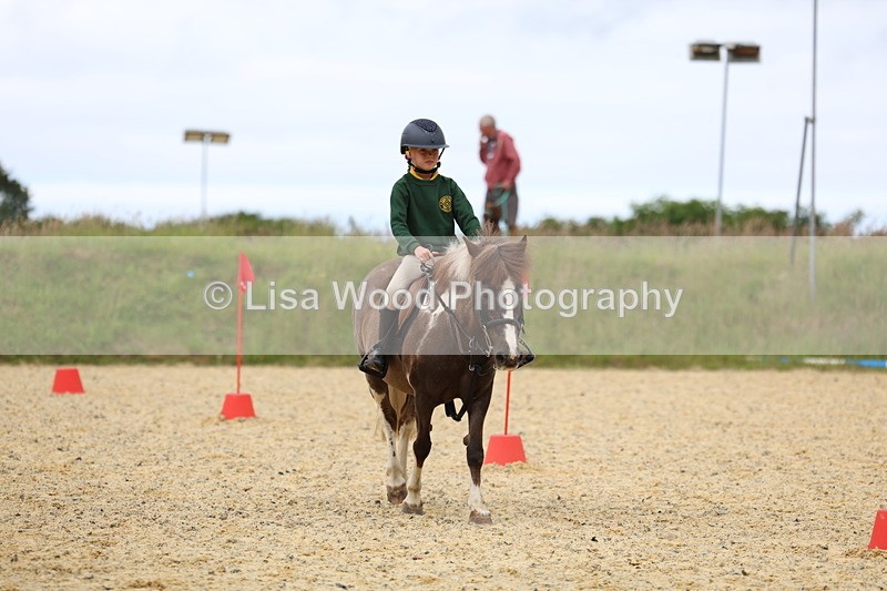 3E7A9568 - Walk trot run