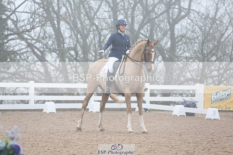 240217A-123213-02898 - 274-Clare.Smith-Dori.Dragon.Fly