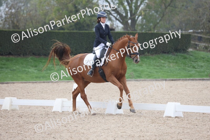 20251012-0657 - Class 5 - Elementary 5