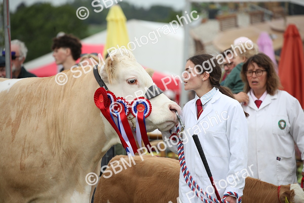 SBM_07854 - Grand Parade