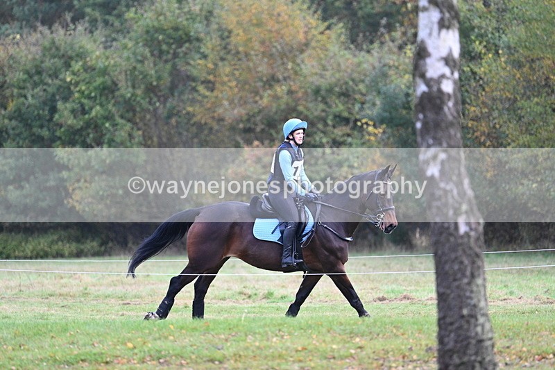 WJ7_0406 - 80cm Cam 2 Water Time 10:45 to 11:06