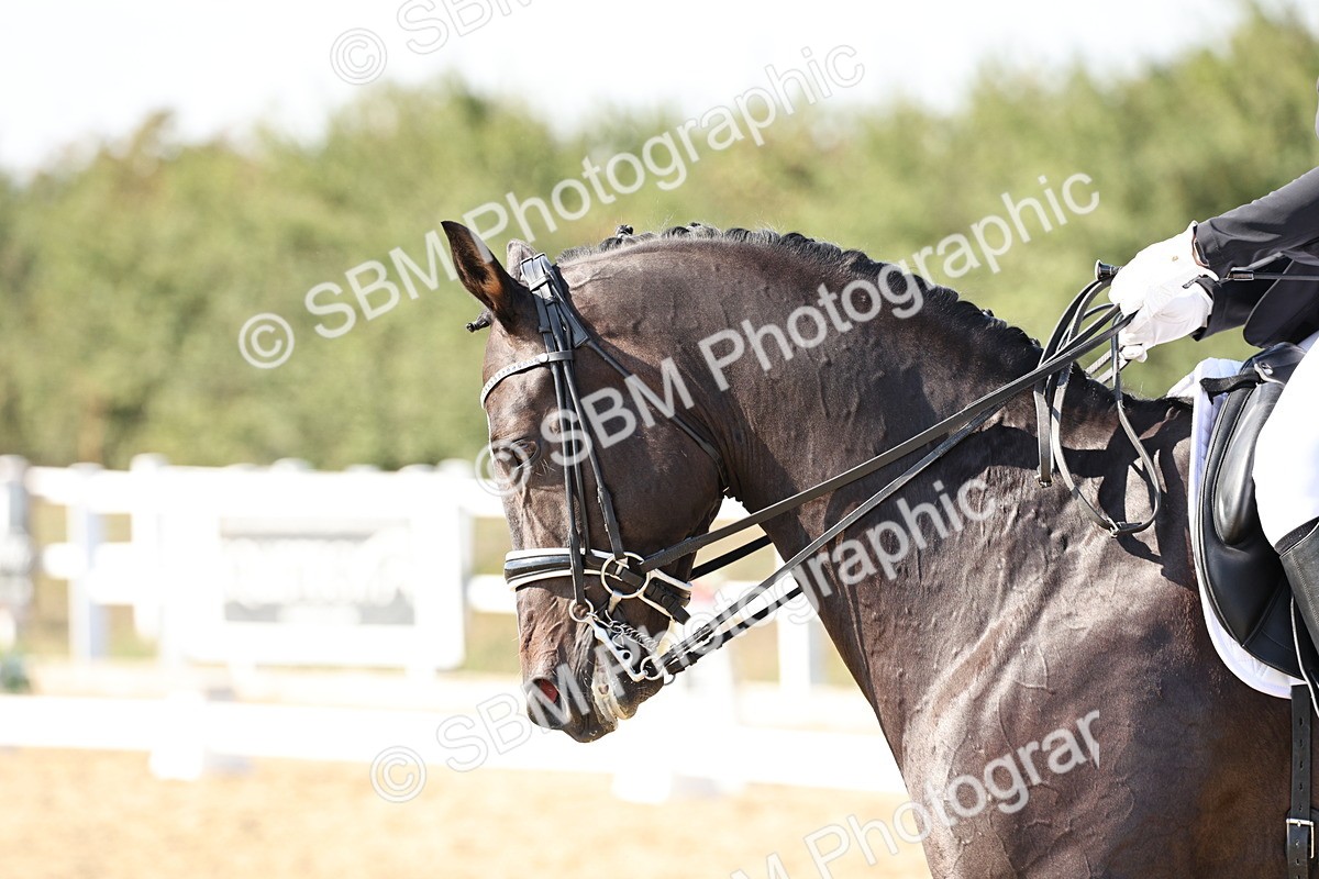 SBM_015325 - Class 9 - Advanced medium 3