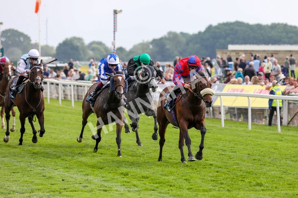 160524-Race 5-Big Evs-1907 - Race 5 4.15pm  British Stallion Studs EBF Westow Stakes