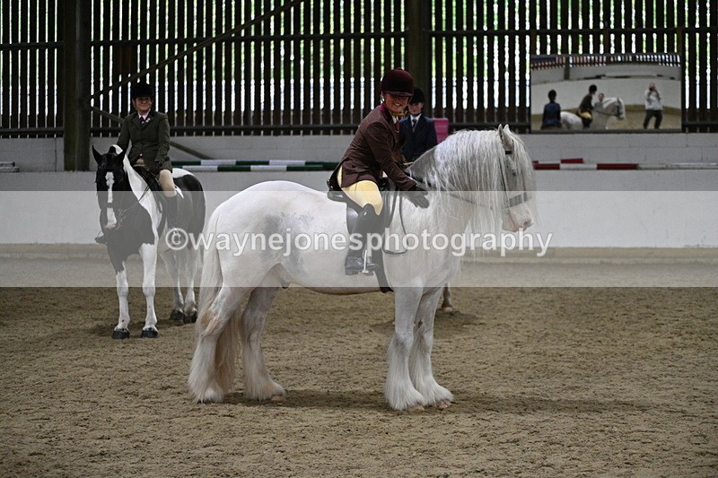 WJ7_4259 - Class 17 Ridden Cob