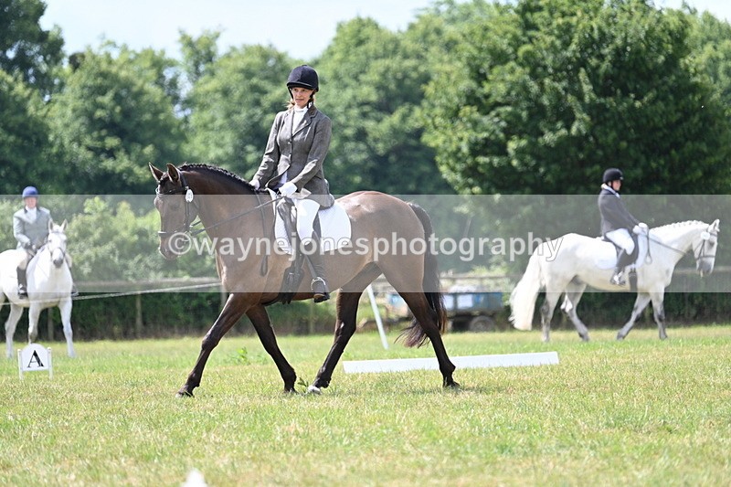 WJ7_4787 - Time 11:22 to 11:51