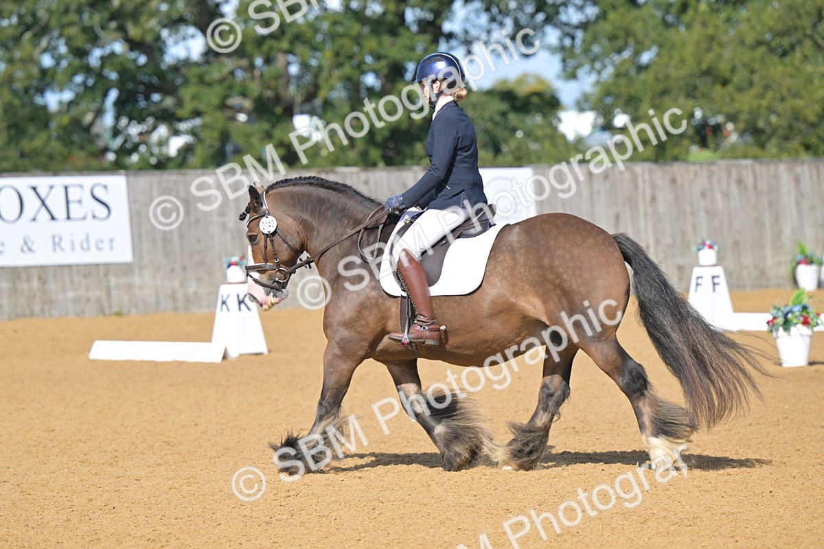 SBM_03938 - D2 - Small Tour Championship Intro 2