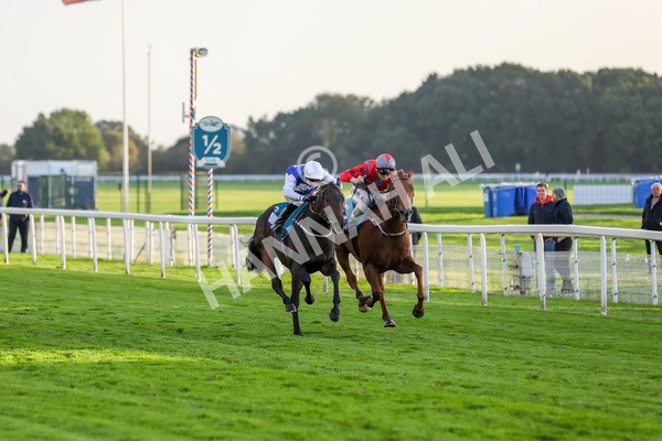 131023-Race 7-Thunder Roar-9960 - Race 7 5.35pm Visit Irish Bloodstock Sales With ITM Apprentice Handicap