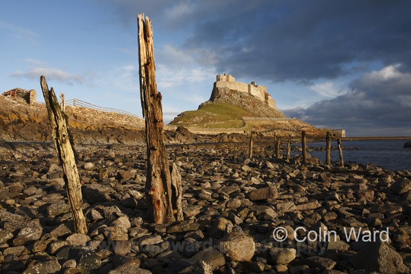 Lindesfarne Castle Ref 9957 - Northumberland