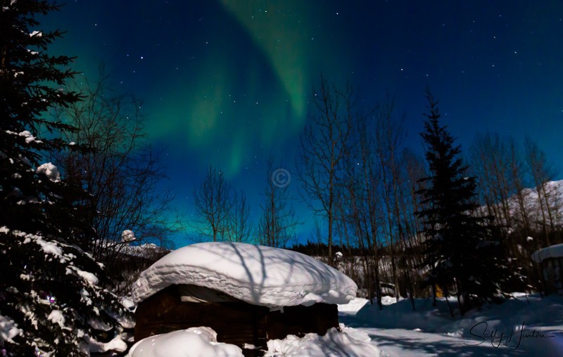 Alaskan Aurora 4
